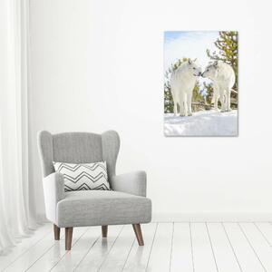 Vertikální Fotoobraz na skle Dva bílí vlci osv-121943194