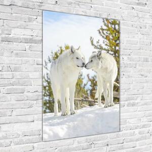 Vertikální Fotoobraz na skle Dva bílí vlci osv-121943194