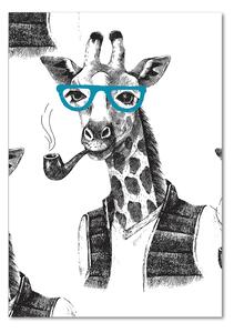 Vertikální Fotoobraz na skle Žirafa v brýlích osv-122012386