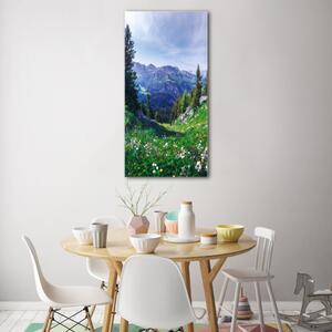 Vertikální Moderní foto obraz na stěnu Alpy osv-122073604