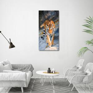 Vertikální Moderní fotoobraz canvas na rámu Tygr ocv-122340685
