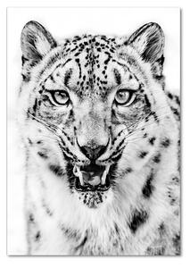 Vertikální Fotoobraz na skle Sněžná pantera osv-122850486