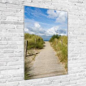 Vertikální Foto obraz skleněný svislý Stezka na pláž osv-123471354