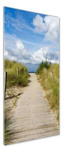 Vertikální Foto obraz skleněný svislý Stezka na pláž osv-123471354