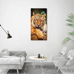 Vertikální Foto obraz skleněný svislý Bengálský tygr osv-124110123