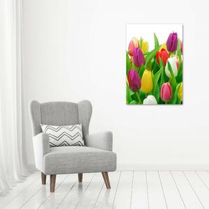 Vertikální Foto obraz na plátně Barevné tulipány ocv-12652067