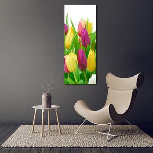 Vertikální Foto obraz na plátně Barevné tulipány ocv-12652067