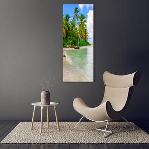 Vertikální Foto obraz skleněný svislý Tropická pláž osv-128237985