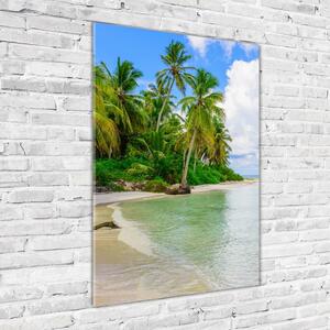 Vertikální Foto obraz skleněný svislý Tropická pláž osv-128237985