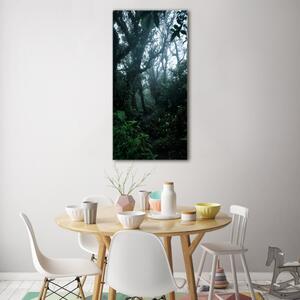 Vertikální Foto obraz sklo tvrzené Deštný prales osv-128961435