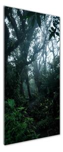 Vertikální Foto obraz sklo tvrzené Deštný prales osv-128961435