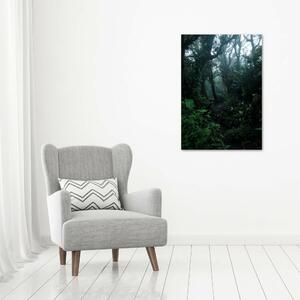 Vertikální Foto obraz na plátně Deštný prales ocv-128961435