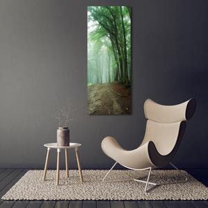 Vertikální Foto obraz canvas Mlha v lese ocv-132941694