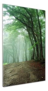 Vertikální Foto obraz sklo tvrzené Mlha v lese osv-132941694