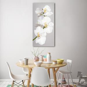 Vertikální Foto obraz fotografie na skle Bílá orchidej osv-133396361