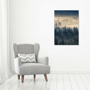 Vertikální Foto obraz na plátně Mlha nad lesem ocv-134224571