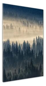 Vertikální Foto obraz fotografie na skle Mlha nad lesem osv-134224571