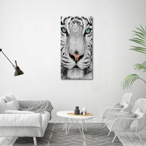 Vertikální Foto obraz sklo tvrzené Bílý tygr osv-13468757
