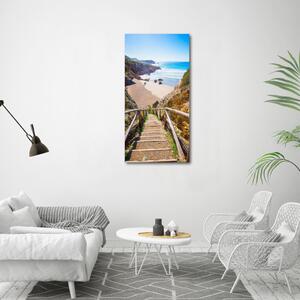 Vertikální Foto obraz na plátně Stezka na pláž ocv-135610258