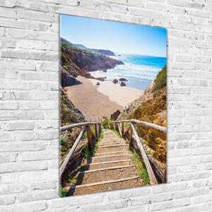 Vertikální Foto obraz skleněný svislý Stezka na pláž osv-135610258