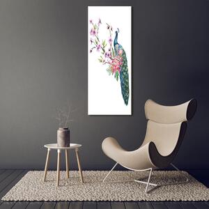 Vertikální Foto obraz sklo tvrzené Páv a květiny osv-137329257
