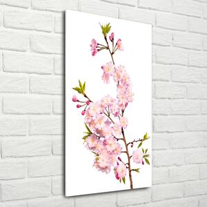 Vertikální Foto obraz sklo tvrzené Květy višně osv-139376728