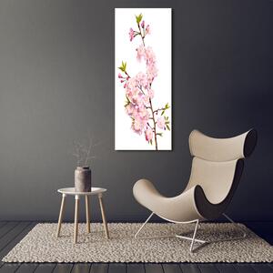 Vertikální Foto obraz canvas Květy višně ocv-139376728