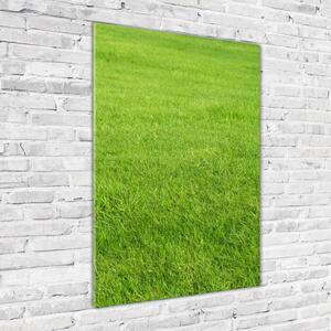 Vertikální Foto obraz sklo tvrzené Zelená tráva osv-141153462