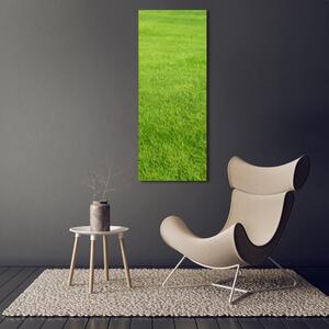 Vertikální Foto obraz na plátně Zelená tráva ocv-141153462