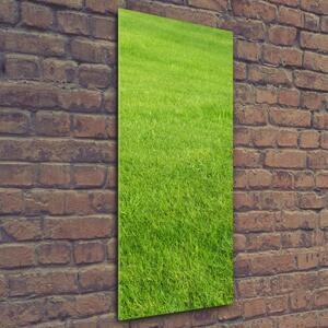 Vertikální Foto obraz sklo tvrzené Zelená tráva osv-141153462