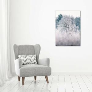 Foto obraz akrylový na stěnu vertikální Les zima oav-142936706