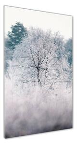 Vertikální Foto-obrah sklo tvrzené Les zima osv-142936706