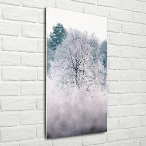 Foto obraz akrylový na stěnu vertikální Les zima oav-142936706