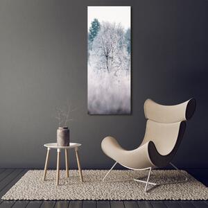Vertikální Vertikální Foto obraz na plátně do obýváku Les zima ocv-142936706