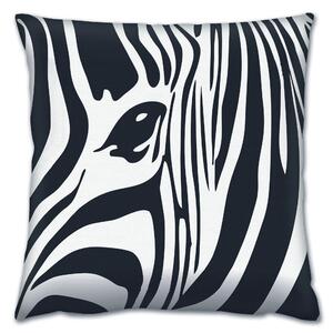 ASIR Polštář A14681 zebra
