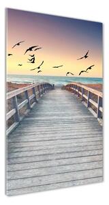 Vertikální Foto obraz skleněný svislý Stezka na pláž osv-145484652