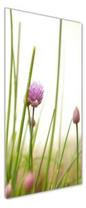 Vertikální Fotoobraz na skle Květ pažitky osv-146011215