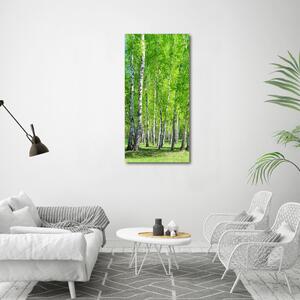 Vertikální Foto obraz sklo tvrzené Břízový les osv-155145245