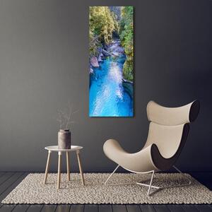 Vertikální Foto obraz sklo tvrzené Řeka v lese osv-158043905
