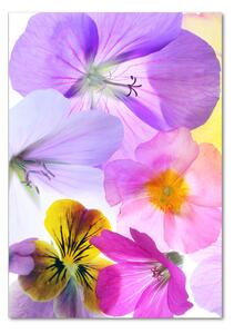 Vertikální Fotoobraz na skle Barevné květiny osv-161285503