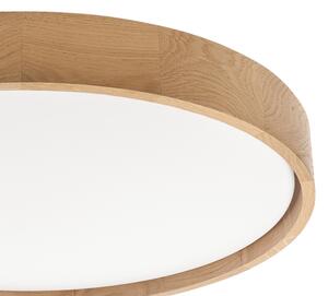 Brilagi - LED Stm stropní svítidlo MANAROLA SMART LED/36W/230V pr. 51 cm + DO