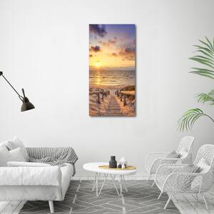 Vertikální Foto obraz skleněný svislý Stezka na pláž osv-165069331