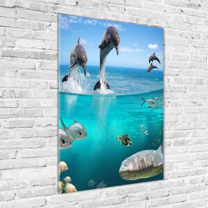 Vertikální Foto obraz fotografie na skle Podvodní svět osv-16538851