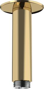 Hansgrohe - Přívod od stropu 100 mm, leštěný vzhled zlata 27479990