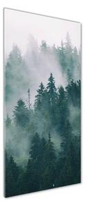 Vertikální Foto obraz fotografie na skle Mlha nad lesem osv-167720092