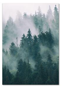 Vertikální Foto obraz fotografie na skle Mlha nad lesem osv-167720092