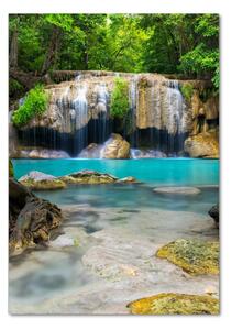 Vertikální Fotoobraz na skle Vodopád v džungli osv-168975123