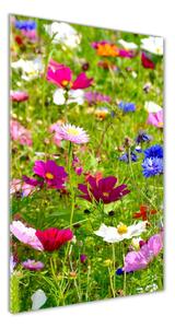Vertikální Foto obraz sklo tvrzené Polní květiny osv-169402975