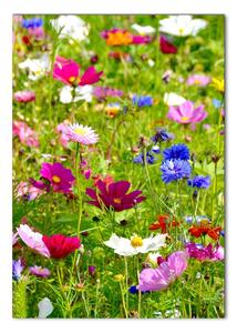 Vertikální Foto obraz sklo tvrzené Polní květiny osv-169402975