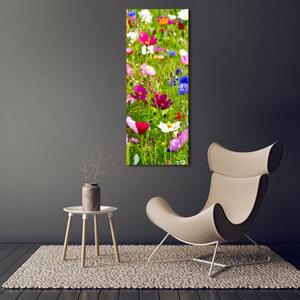 Vertikální Foto obraz canvas Polní květiny ocv-169402975
